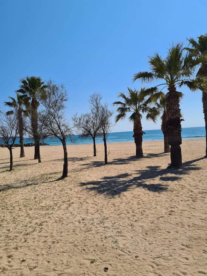 Mobil-Home 661 Camping Saint Aygulf Plage エクステリア 写真